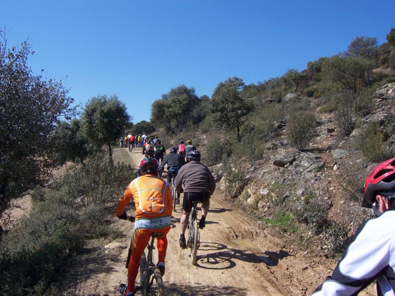 Camino de San Mart&iacute;n